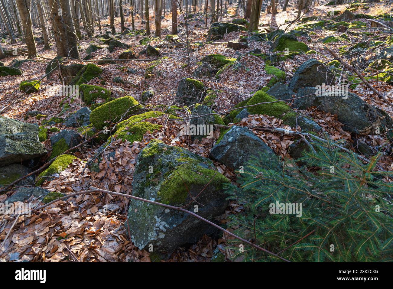 Peu de formations rocheuses petites et géantes à côté du sentier de montagne à la journée ensoleillée en hiver Banque D'Images