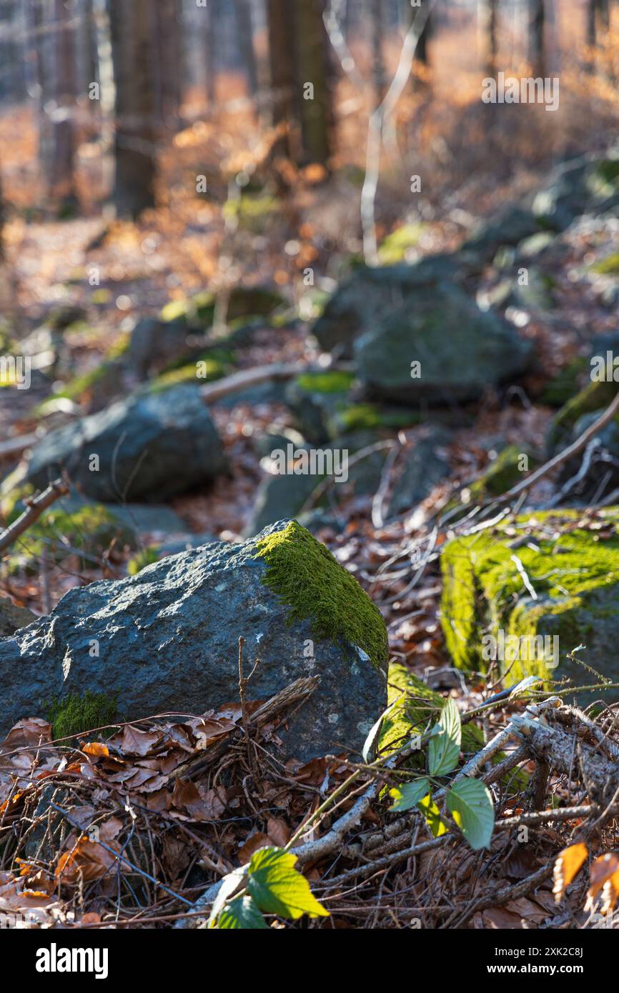 Peu de formations rocheuses petites et géantes à côté du sentier de montagne à la journée ensoleillée en hiver Banque D'Images
