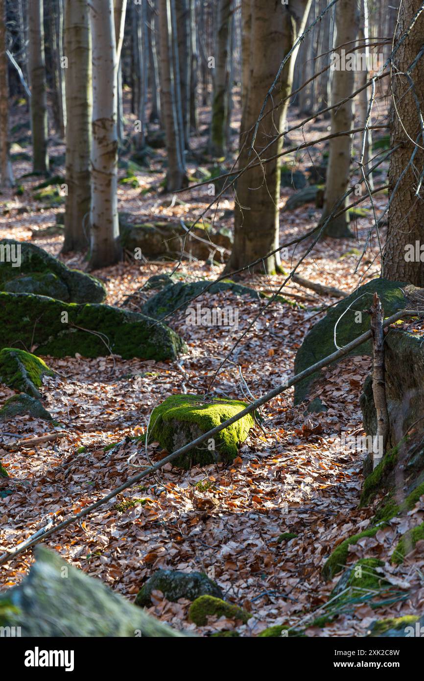 Peu de formations rocheuses petites et géantes à côté du sentier de montagne à la journée ensoleillée en hiver Banque D'Images