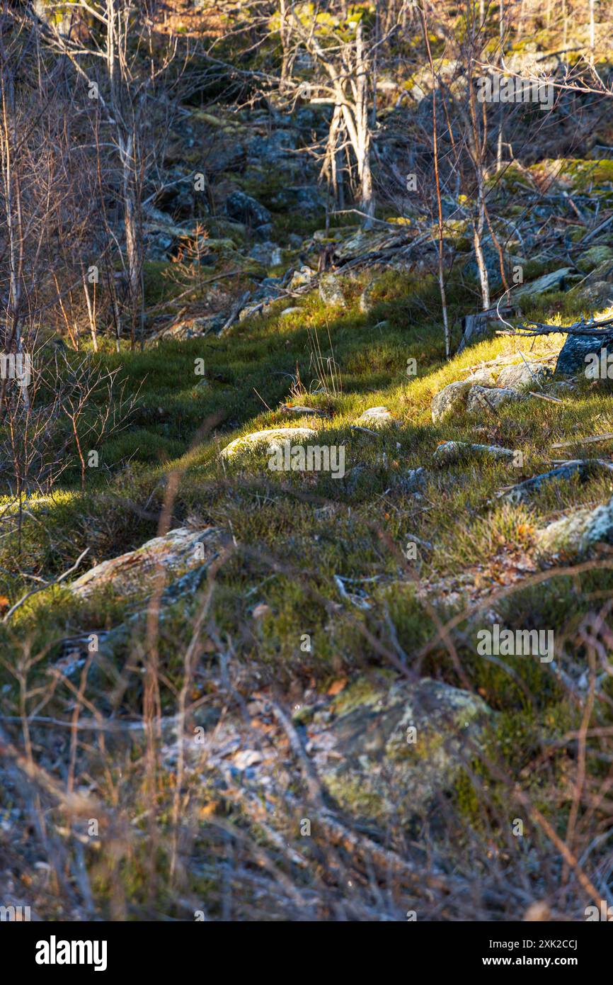 Peu de formations rocheuses petites et géantes à côté du sentier de montagne à la journée ensoleillée en hiver Banque D'Images