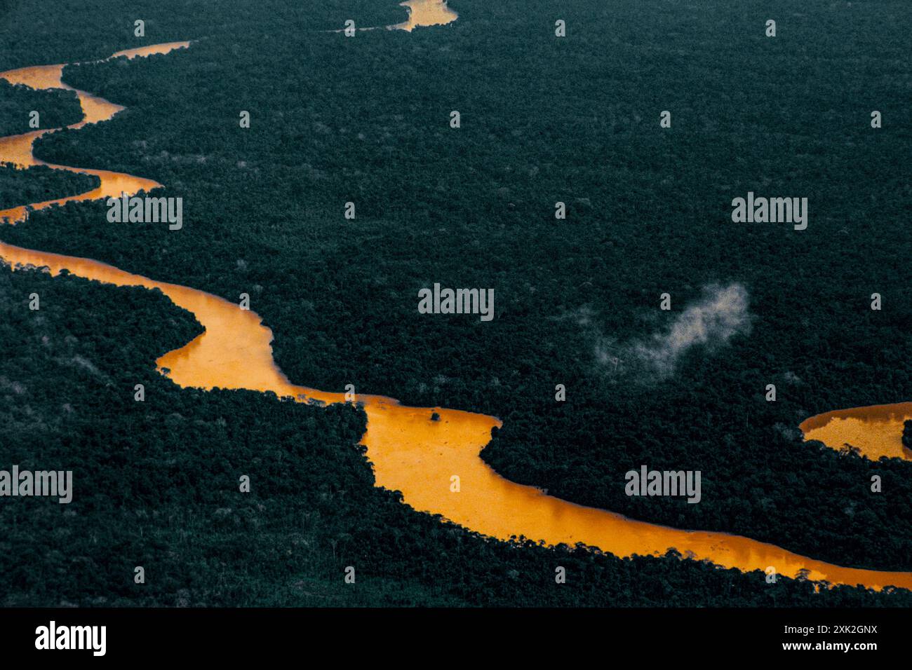Vue aérienne de la forêt amazonienne, courbes de rivière et forêt dense avec une grande biodiversité. Acre State, Brésil. Banque D'Images