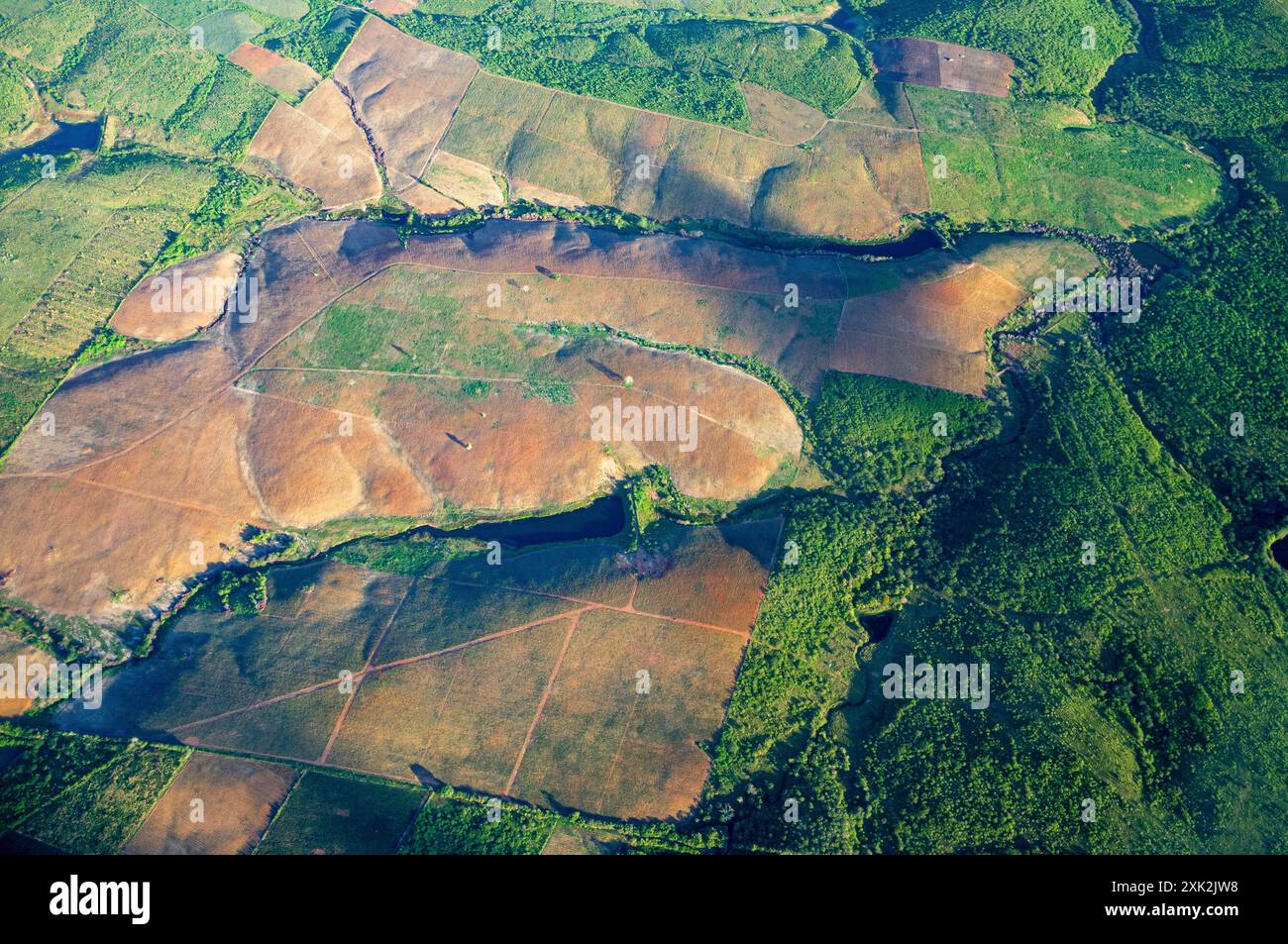 Une vue aérienne de la forêt atlantique déboisée au sommet d’une colline dans l’État de Bahia, au Brésil, révèle une conversion extensive de la forêt tropicale indigène en champs agricoles et pâturages pour bétail – un changement d’utilisation des terres qui augmente considérablement les émissions de carbone et perturbe les services écosystémiques essentiels. Les écologistes avertissent que sans une gestion durable des terres et des initiatives de reboisement, ce défrichement en cours exacerbera les impacts du changement climatique, menacera les espèces endémiques et sapera la résilience socio-économique des communautés rurales. Banque D'Images