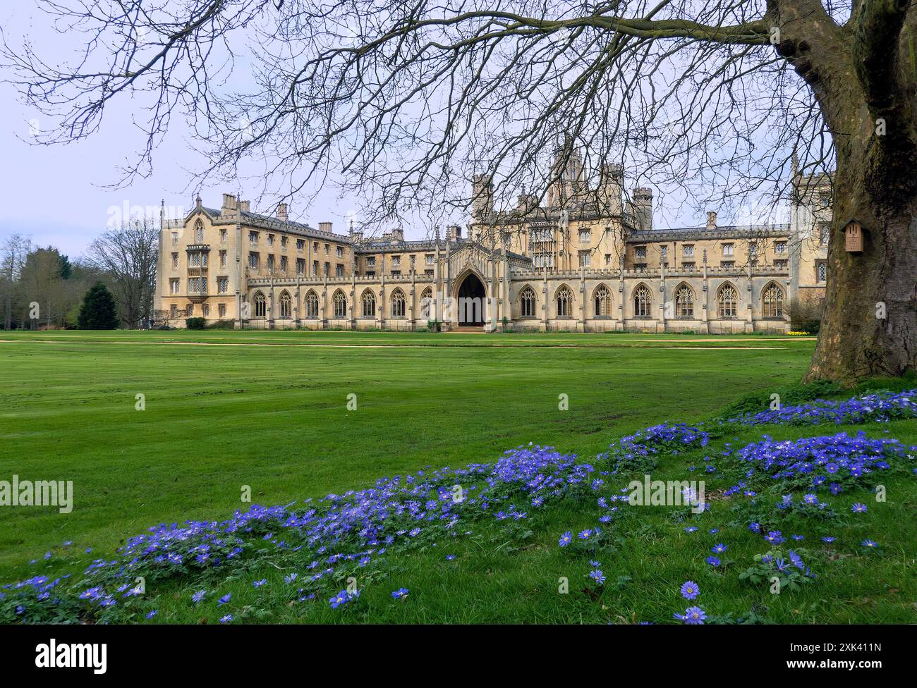 King's College Cambridge Riverside Banque D'Images