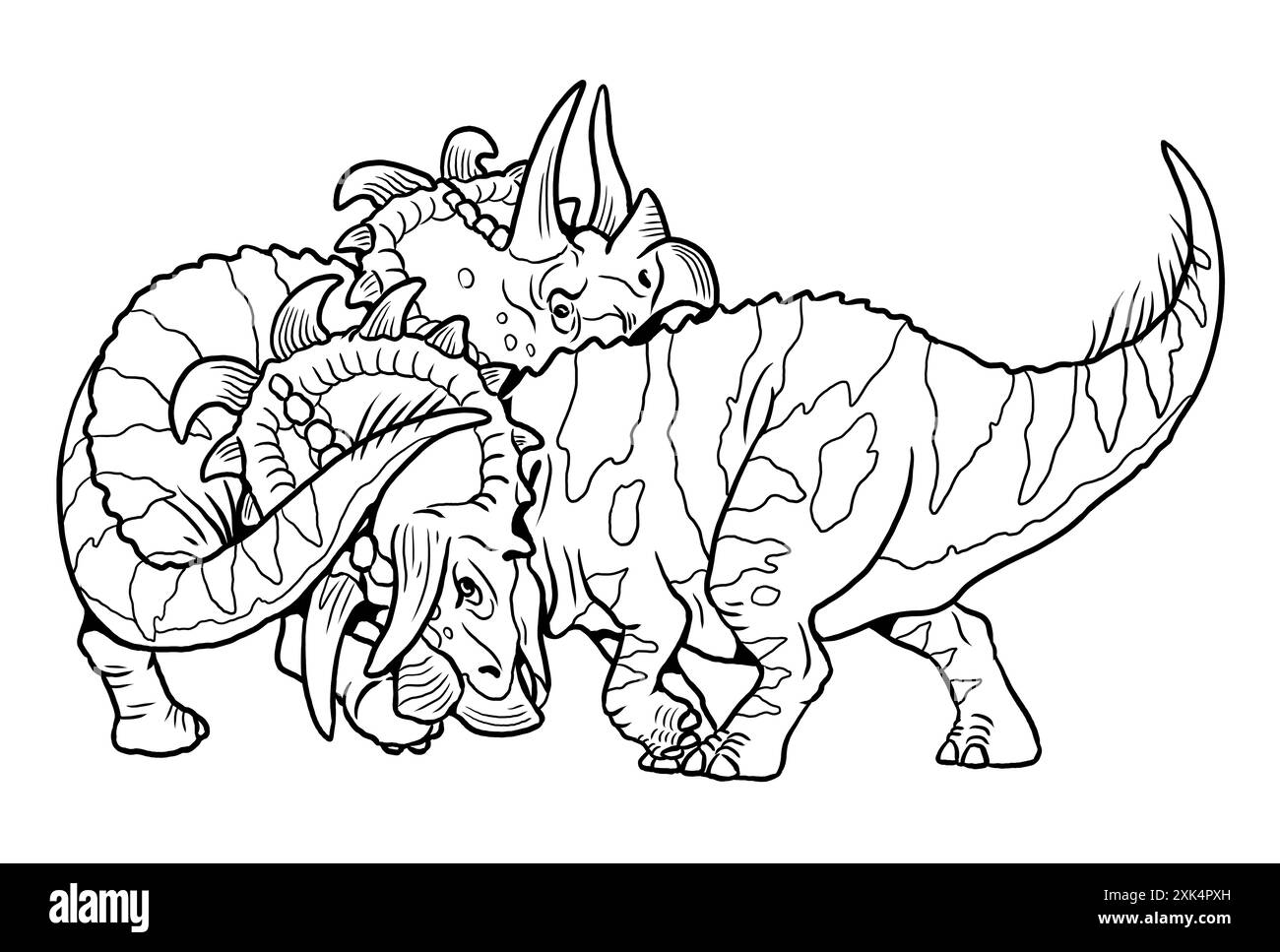 Combat entre deux dinosaures. Mâle Albertaceratops se battant pour les femelles. Coloriage avec des animaux préhistoriques. Banque D'Images