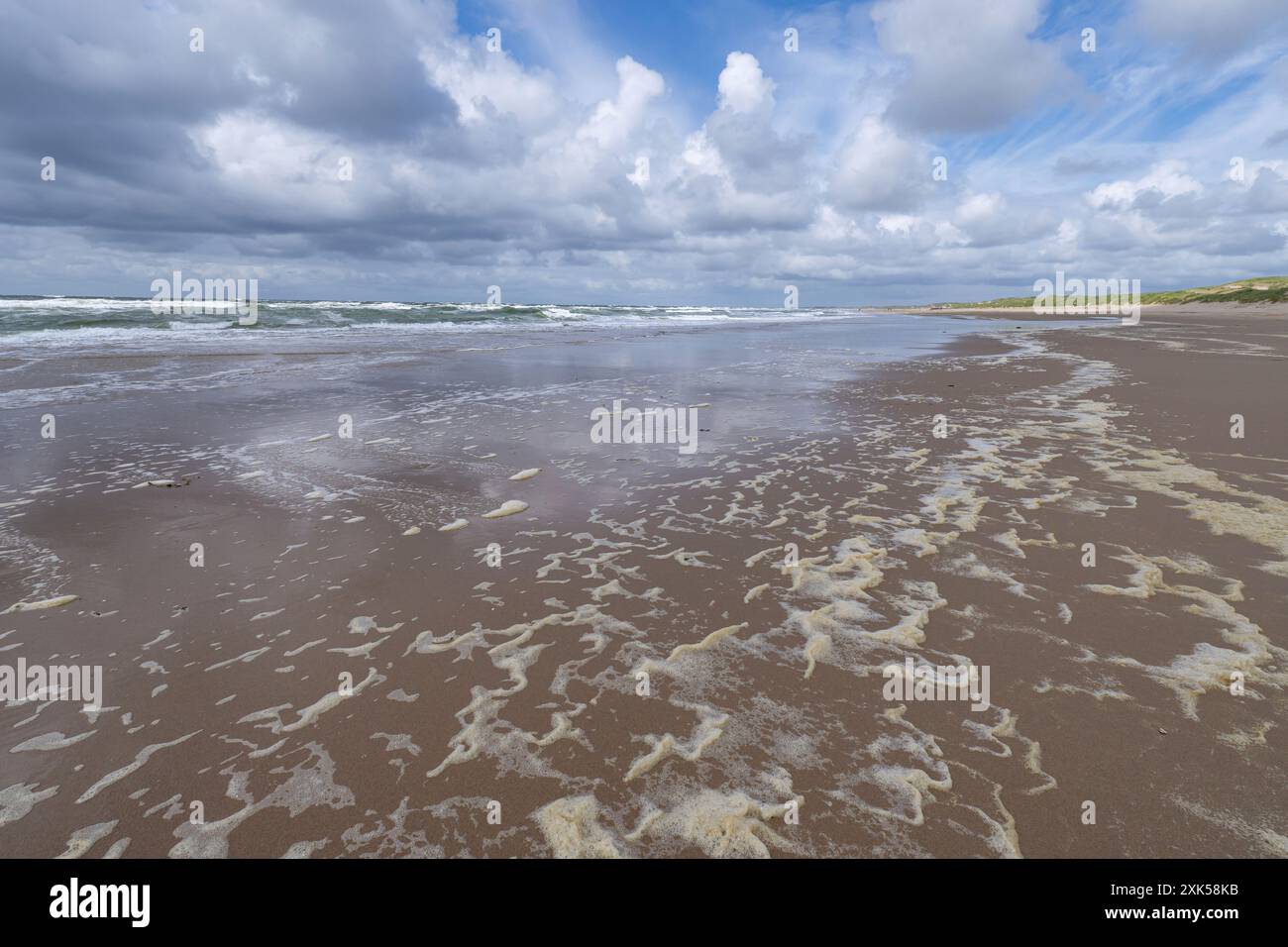 Plage sur la côte néerlandaise de la mer du Nord à Callantsoog Banque D'Images