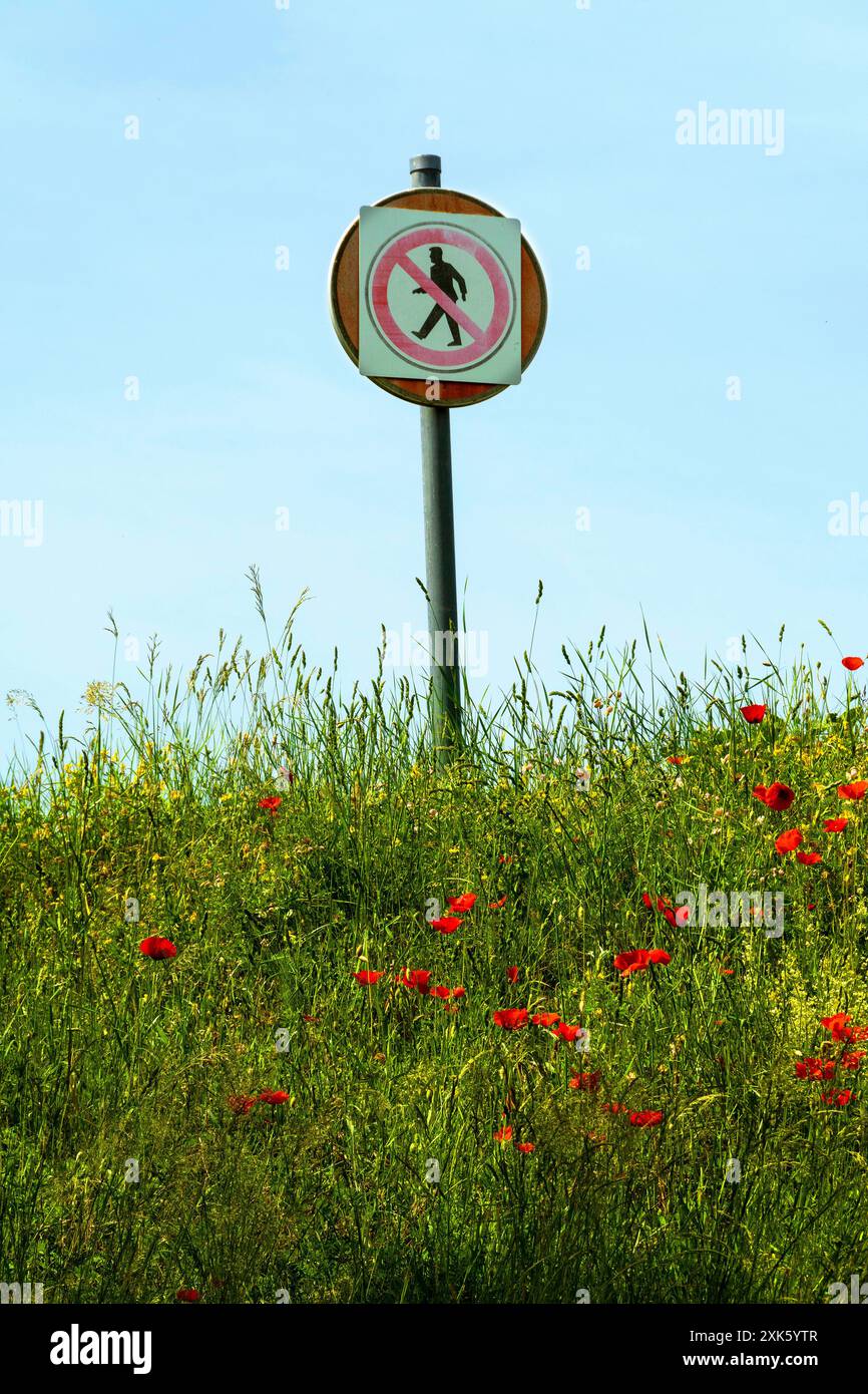 Les piétons ne sont pas autorisés dans le champ des coquelicots rouges Banque D'Images