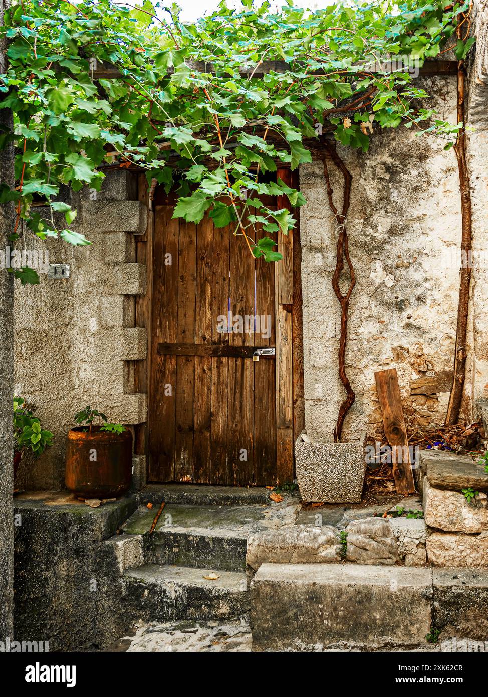 l'entrée rustique d'une maison de campagne avec une porte d'entrée en bois et un revêtement de feuille de vigne qui donne de l'ombre à la région Banque D'Images