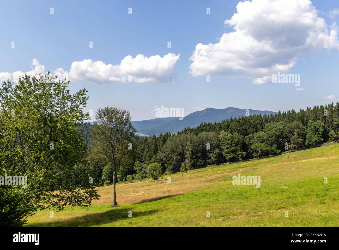 Sommer in Bayern Die sonne scheint BEI blauem Himmel und nur wenigen Wolken auf die Landschaft im Bayerischen Wald, rechts im Hintergrund der Große und Kleine Osser., Lohberg Bayern Deutschland *** été en Bavière le soleil brille sous un ciel bleu et seulement quelques nuages sur le paysage dans la forêt bavaroise, à droite dans le fond le Großer et Kleiner Osser , Lohberg Bavière Allemagne Banque D'Images