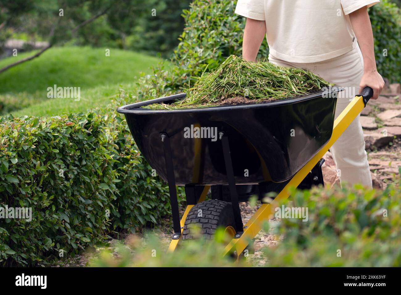 Un jardinier diligent utilise une brouette remplie de coupures fraîches pour se déplacer à travers un beau paysage de jardin Banque D'Images