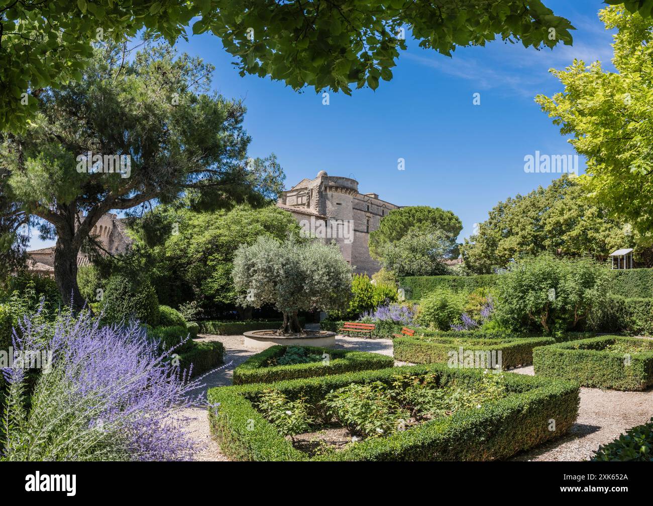 Les jardins municipaux de la place du village, Gordes, Vaucluse, Provence, France. Banque D'Images