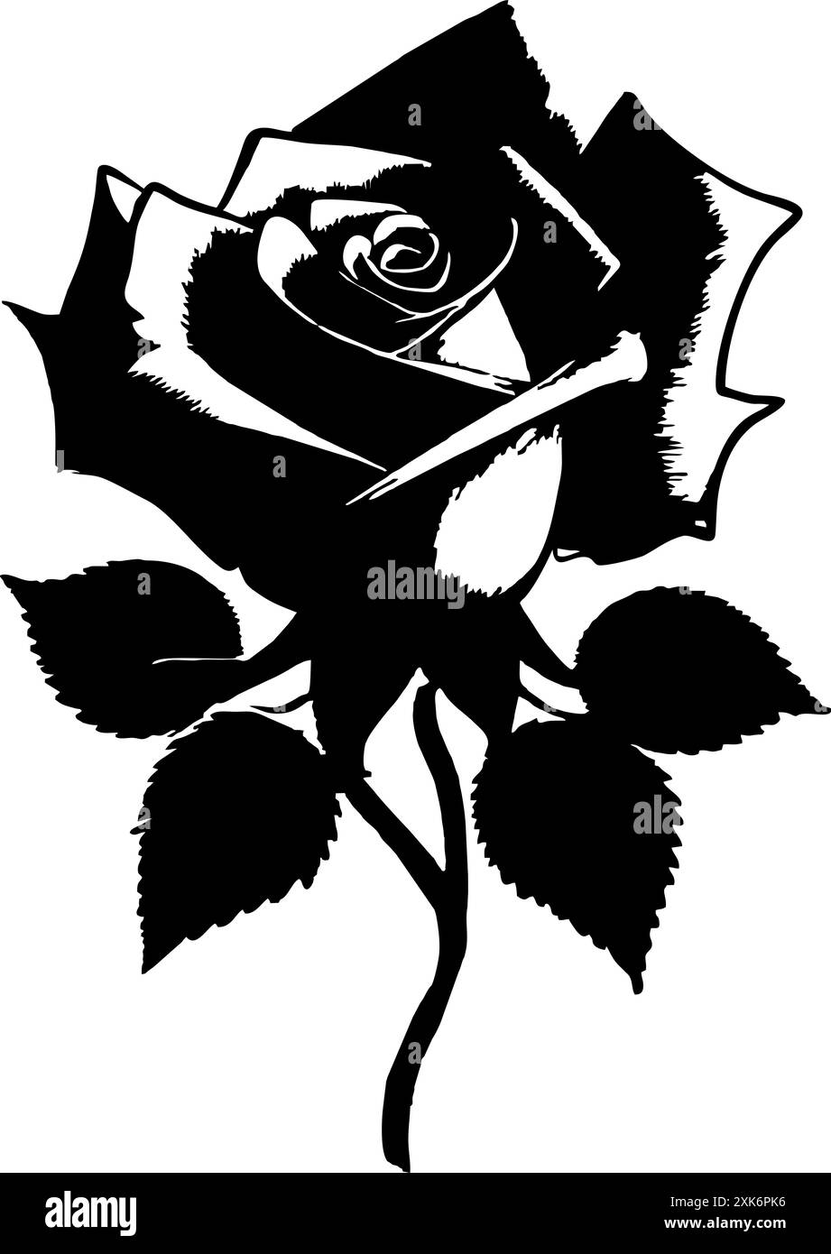 dessin graphique noir d'une fleur de rose avec des feuilles, monochrome, élément décoratif Banque D'Images