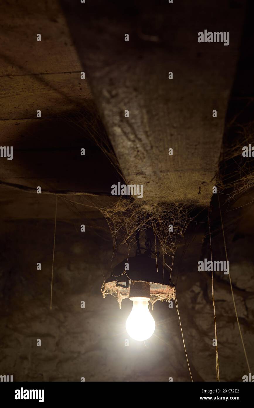 Ampoules dans une ancienne grange avec des toiles sous le plafond Banque D'Images