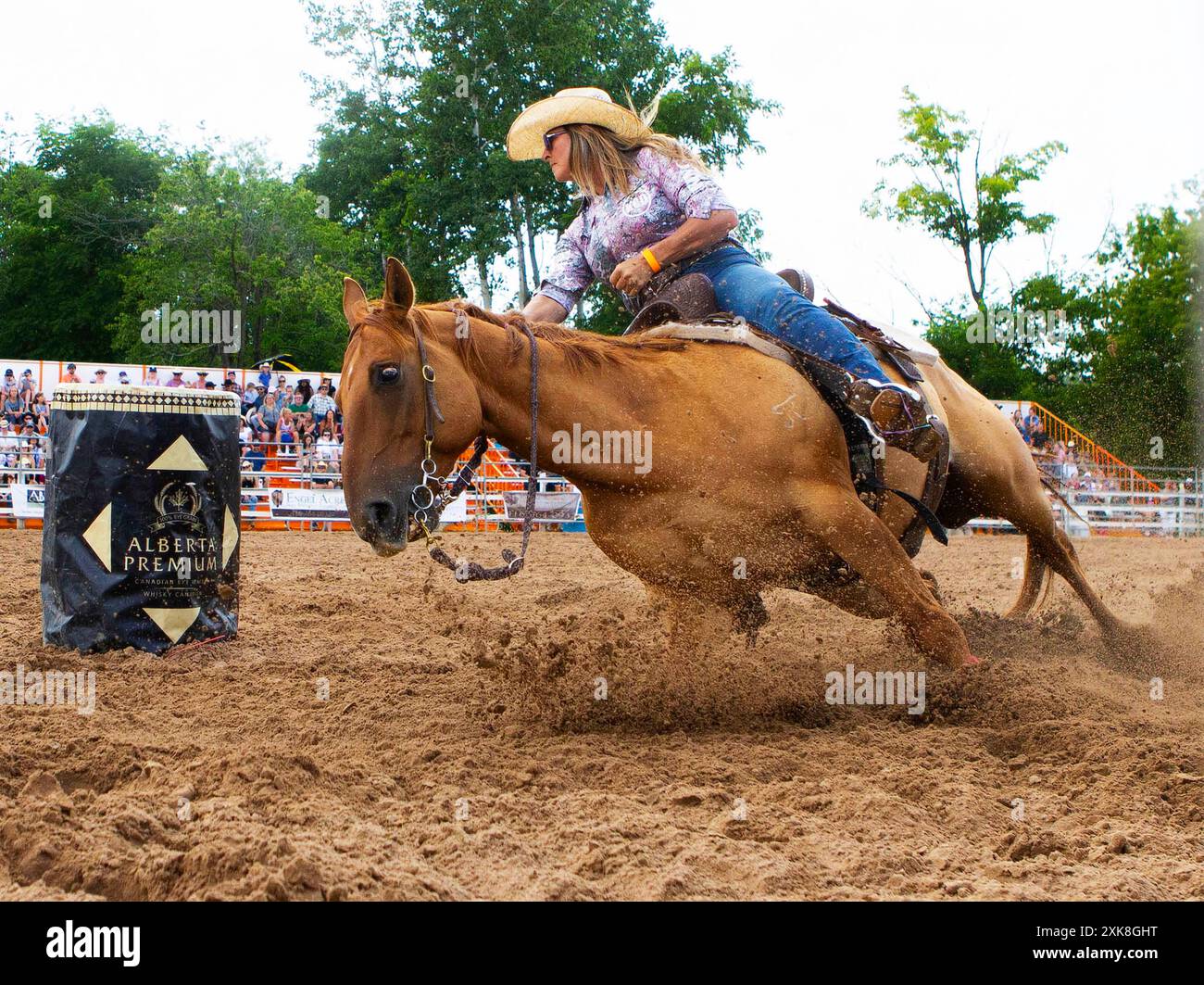 Erin, Canada. 21 juillet 2024. Une cow-girl participe à l'épreuve de course de barils au Ram Rodeo Tour 2024 à Erin, Ontario, Canada, le 21 juillet 2024. Crédit : Zou Zheng/Xinhua/Alamy Live News Banque D'Images