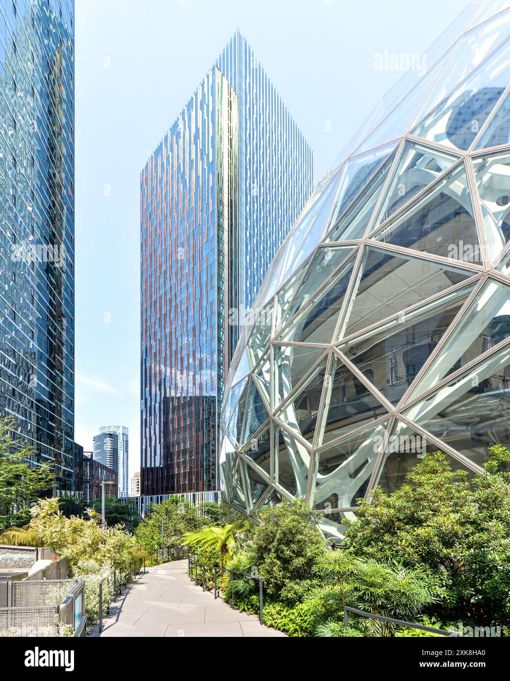 Paysage urbain du centre-ville de Seattle avec l'Amazone Sphere Banque D'Images