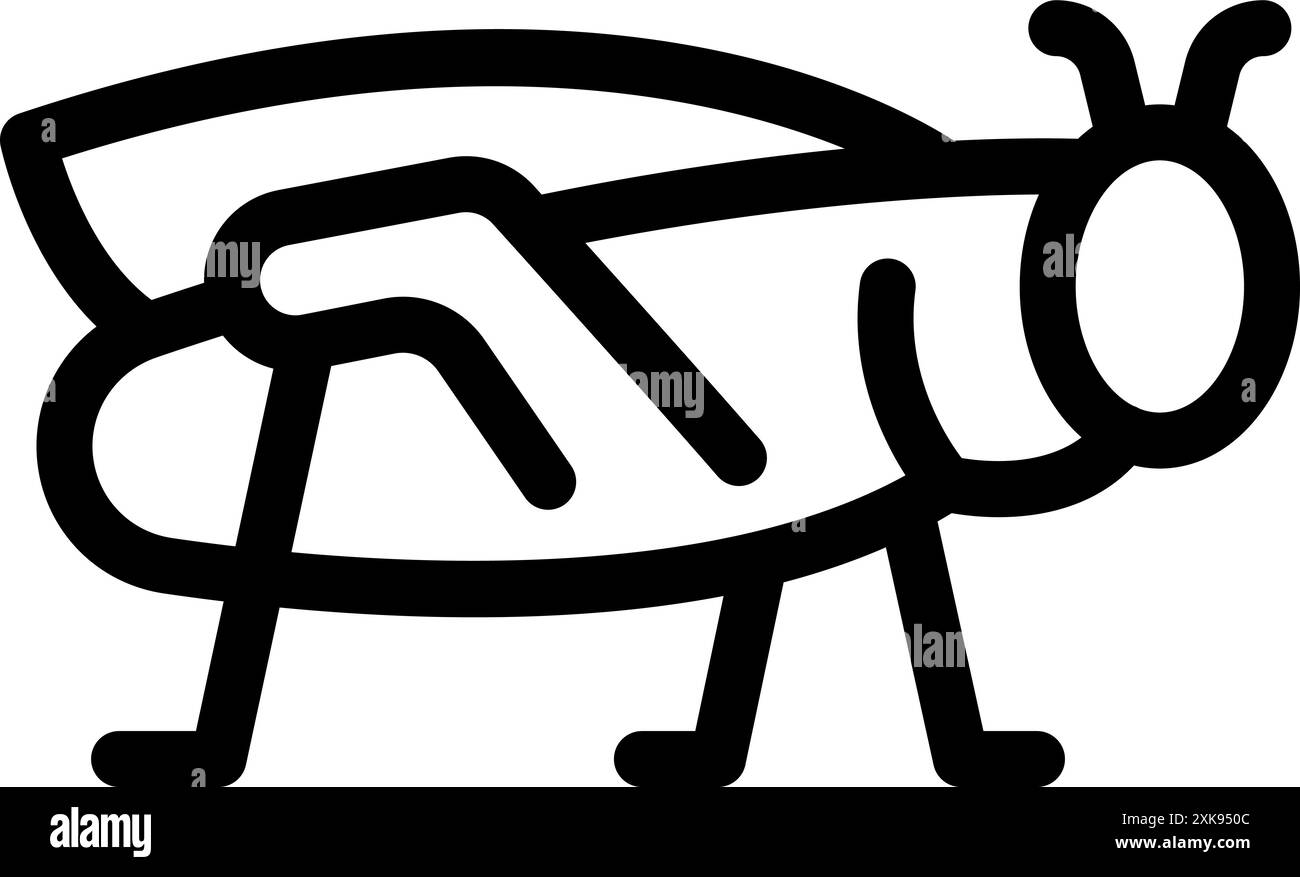 Gros insecte sauterelle debout sur six pattes avec icône d'ailes pliées Illustration de Vecteur