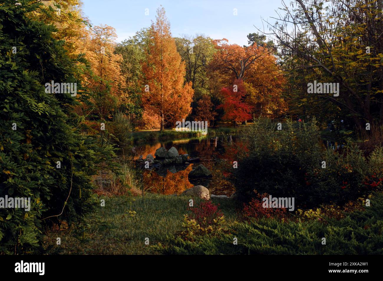 Jardin japonais à Wroclaw en automne Banque D'Images