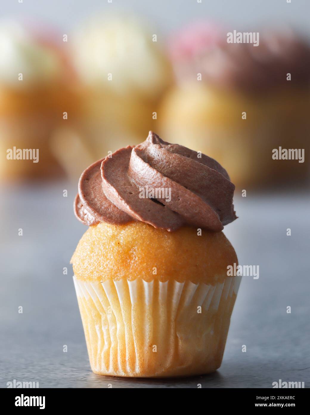Un gros plan d'un mini cupcake avec un tourbillon de glaçage au chocolat sur le dessus. L'arrière-plan présente des cupcakes flous avec différentes couleurs de glaçage. Banque D'Images