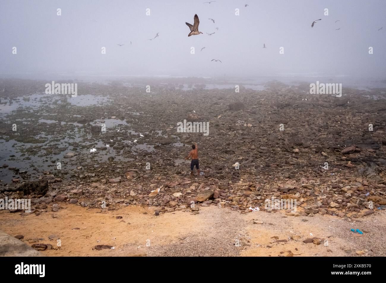 Un homme avec des oiseaux sur la plage d'Ain Diab sur l'océan Atlantique à Casablanca le 8 octobre 2023. Casablanca, une ville en plein développement, est le cap économique Banque D'Images