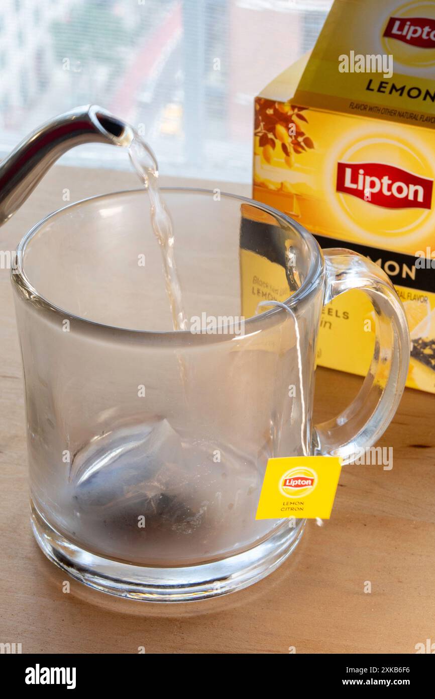 Tasse en verre transparent avec thé trempé, USA 2024 Banque D'Images