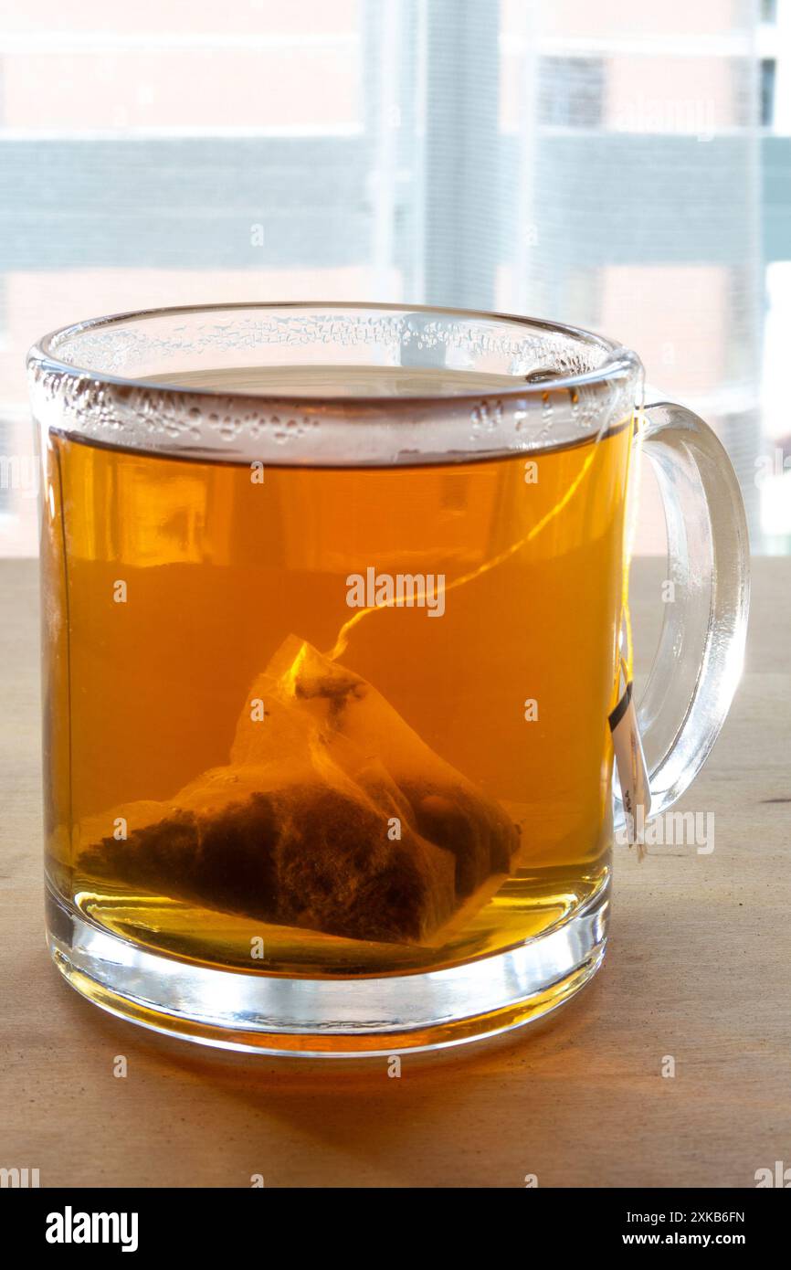 Tasse en verre transparent avec thé trempé, USA 2024 Banque D'Images