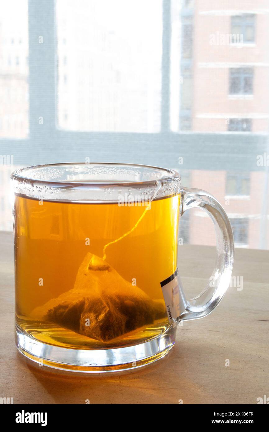 Tasse en verre transparent avec thé trempé, USA 2024 Banque D'Images