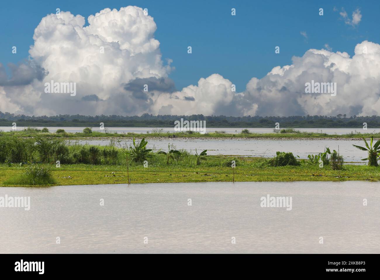 Nong Han entouré d'arbres et d'un ciel avec des nuages blancs dans la province d'Udon Thani, Thaïlande. Banque D'Images