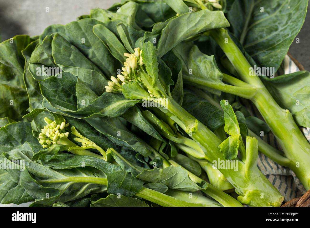 Brocoli asiatique asiatique biologique cru prêt à cuire Banque D'Images