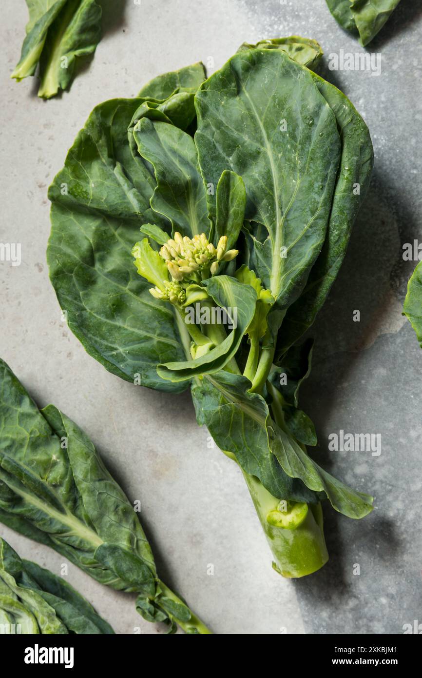 Brocoli asiatique asiatique biologique cru prêt à cuire Banque D'Images