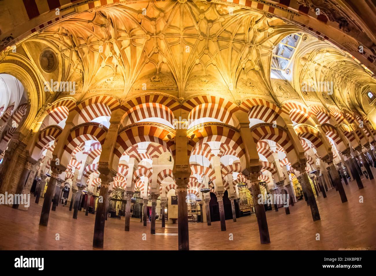 Perspective fisheye unique capturant le plafond complexe et les arches de la mosquée de Cordoue en Andalousie, Espagne. Banque D'Images