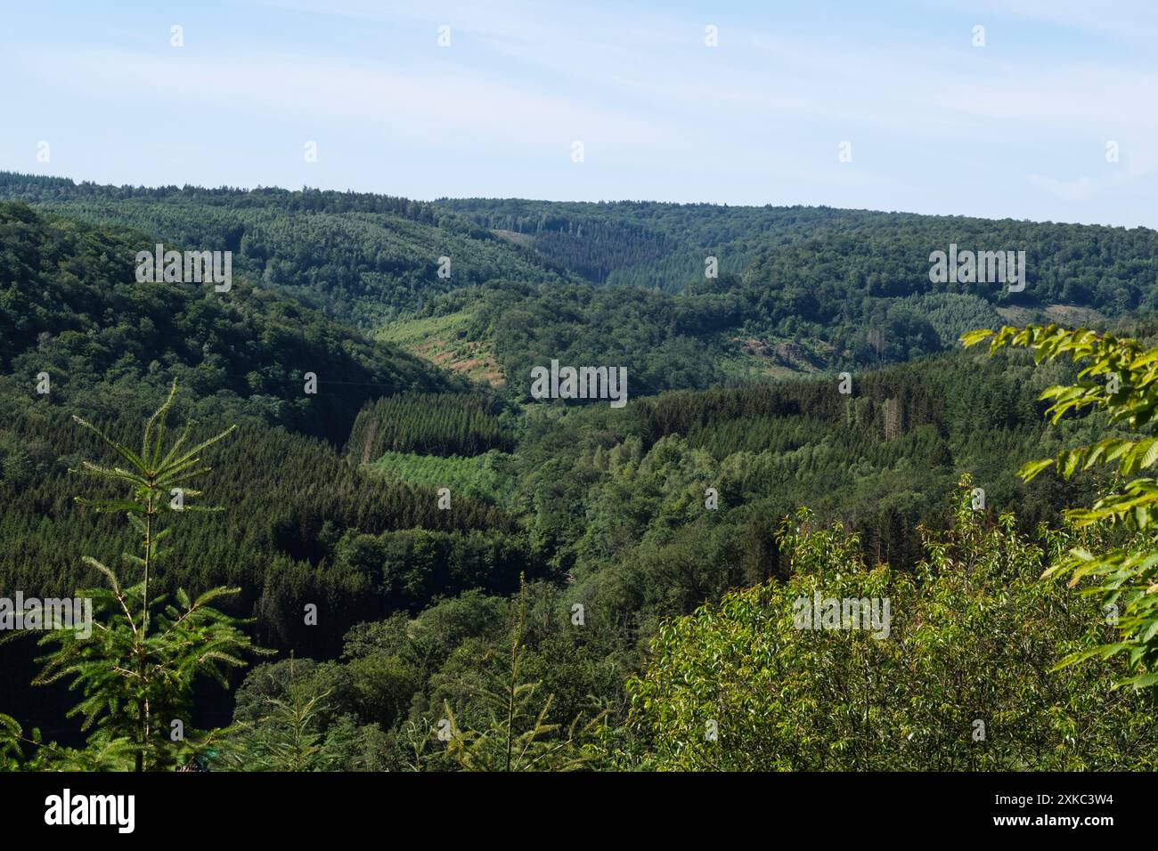 Vue panoramique sur la forêt ardennaise, les boucles de Semois et le village de Cugnon | vue panoramiques sur la forêt ardennaise, des boucles de Semois e Banque D'Images