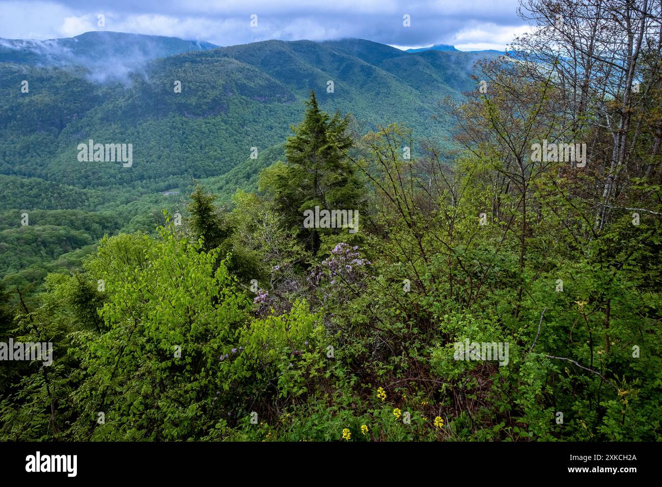 Vue sur la gorge de Linville dans l'ouest de la Caroline du Nord, États-Unis Banque D'Images