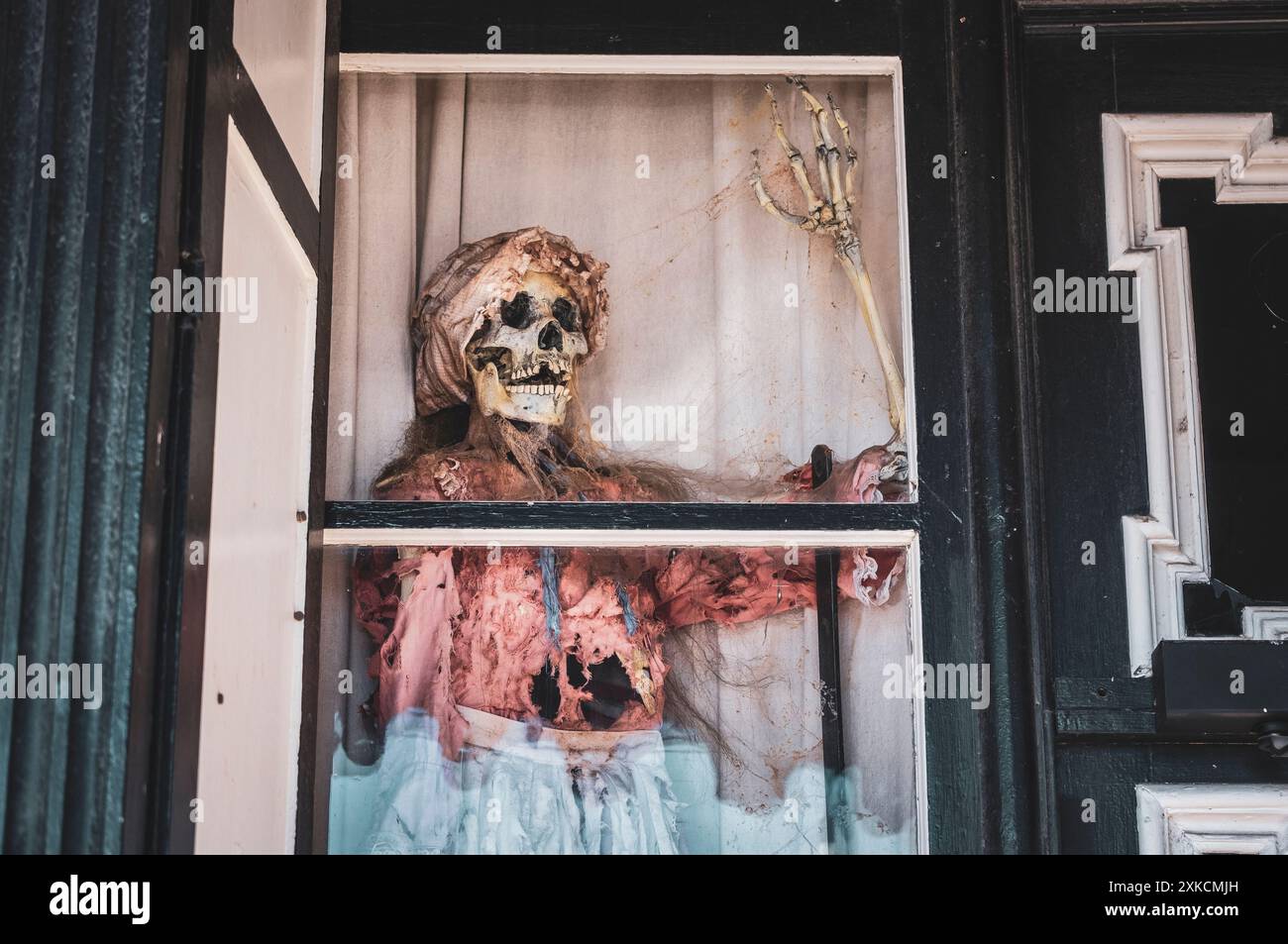Squelette modèle exposé dans un musée minier de Virginia City, Nevada Banque D'Images