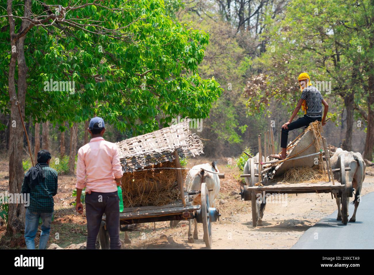 Chariot bullock sur la route à Jaipur Rajasthan Banque D'Images