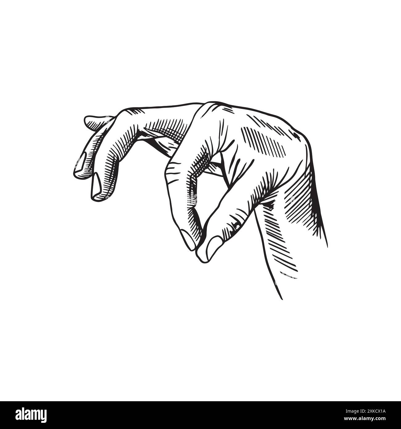 Main humaine, doigts tenant, pressant. Illustration vectorielle dessinée à la main dans un style graphique. Pour bannières, affiches, cartes, étiquettes, dépliants. Illustration de Vecteur