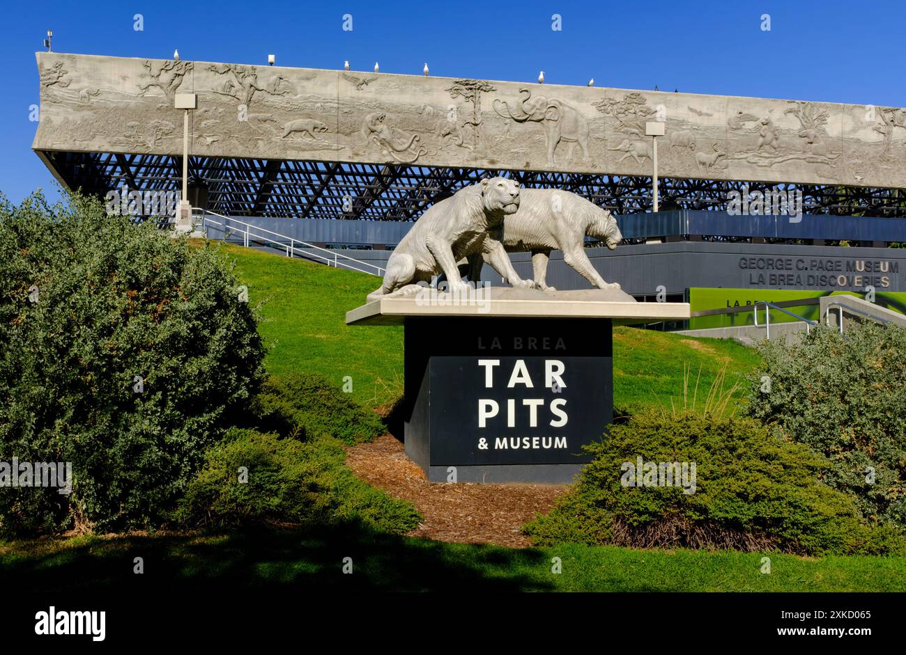 Une statue représentant une paire de tigres à dents de sabre accueille les visiteurs du musée la Brea Tar Pits à Los Angeles, en Californie Banque D'Images Une statue représentant une paire de tigres à dents de sabre accueille les visiteurs du musée la Brea Tar Pits à Los Angeles, en Californie Banque D'Images