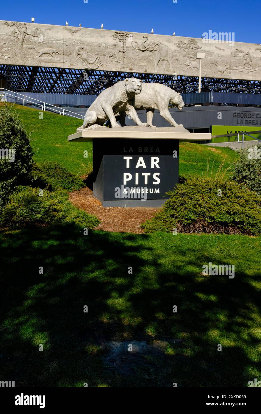 Une statue représentant une paire de tigres à dents de sabre accueille les visiteurs du musée la Brea Tar Pits à Los Angeles, en Californie Banque D'Images Une statue représentant une paire de tigres à dents de sabre accueille les visiteurs du musée la Brea Tar Pits à Los Angeles, en Californie Banque D'Images