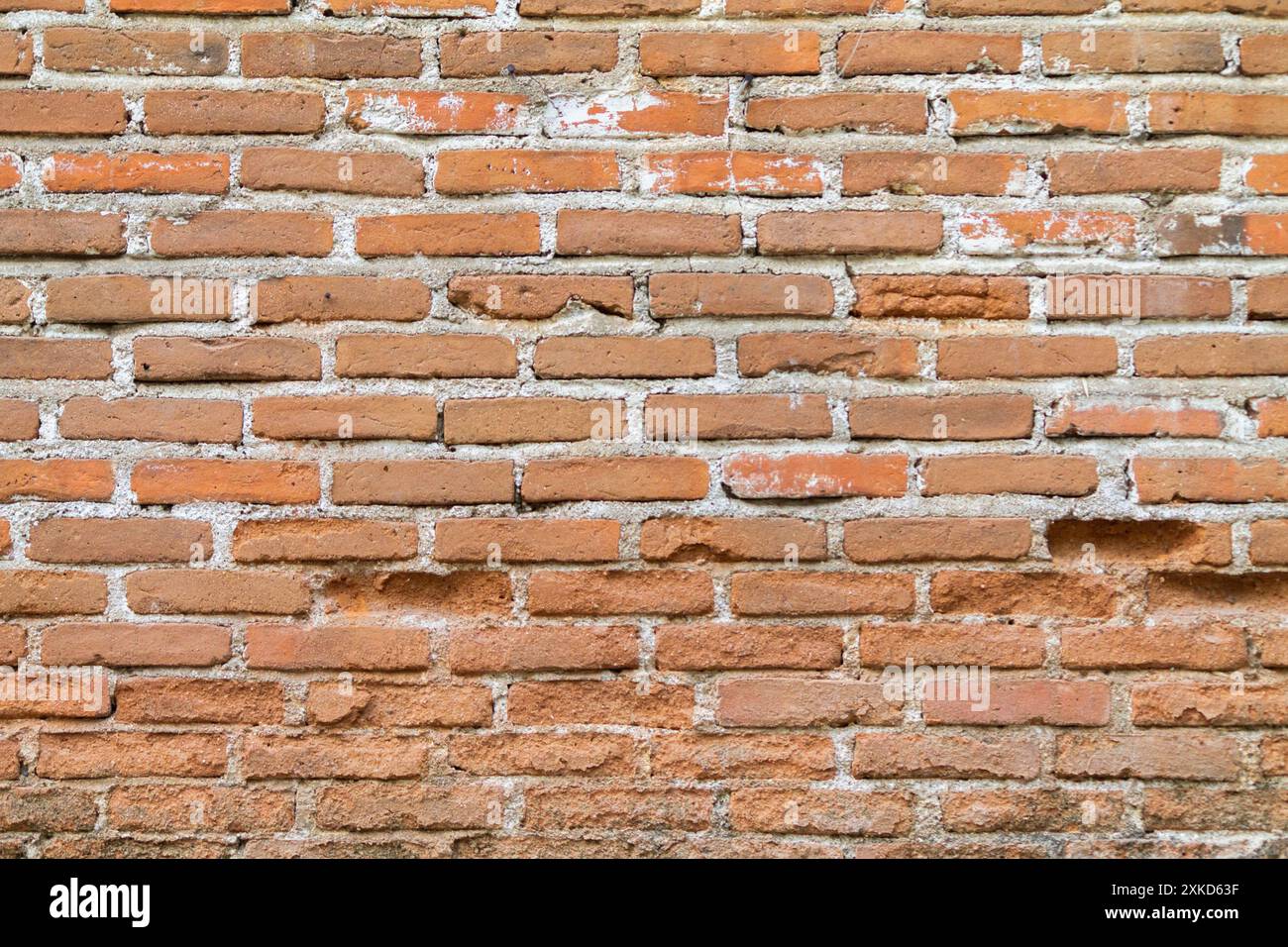 Le fond de mur de briques est un mur fait de briques d'argile, donnant la force de la structure et la ligne de ciment entre les briques qui semble belle. C'est populaire Banque D'Images