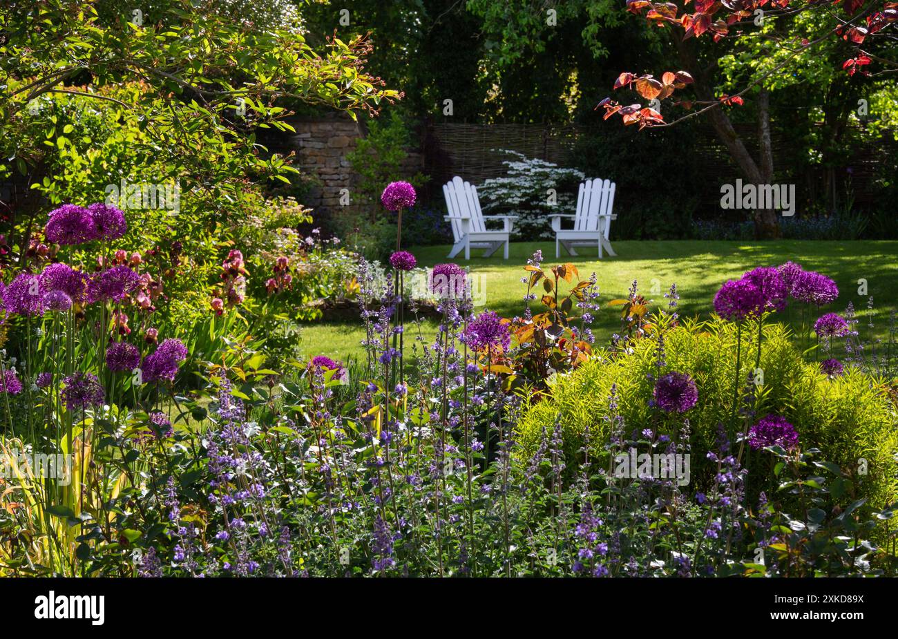 Chaises en bois blanc dans le jardin anglais d'été avec des pensionnaires de fleurs, Angleterre Banque D'Images