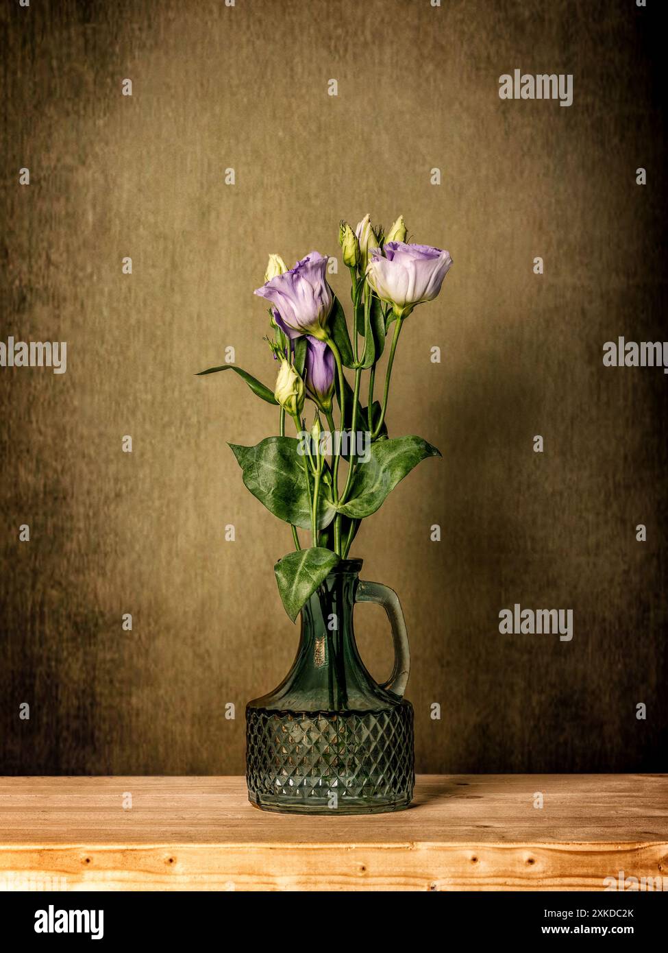 Purple Prairie Gentian photographié dans mon studio photo Banque D'Images