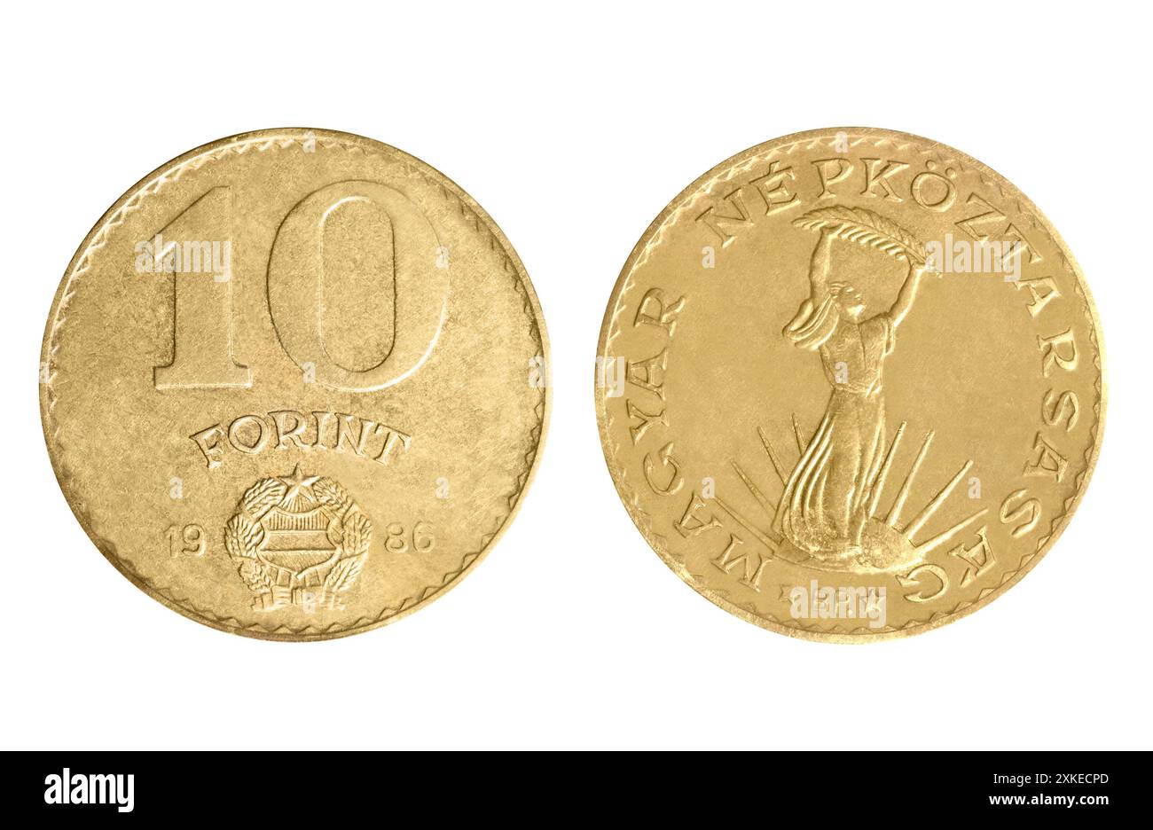 Photo isolée de 10 pièces hongroises en aluminium-bronze de 1986 forint de la République populaire 1946-1989 sur fond blanc. Banque D'Images