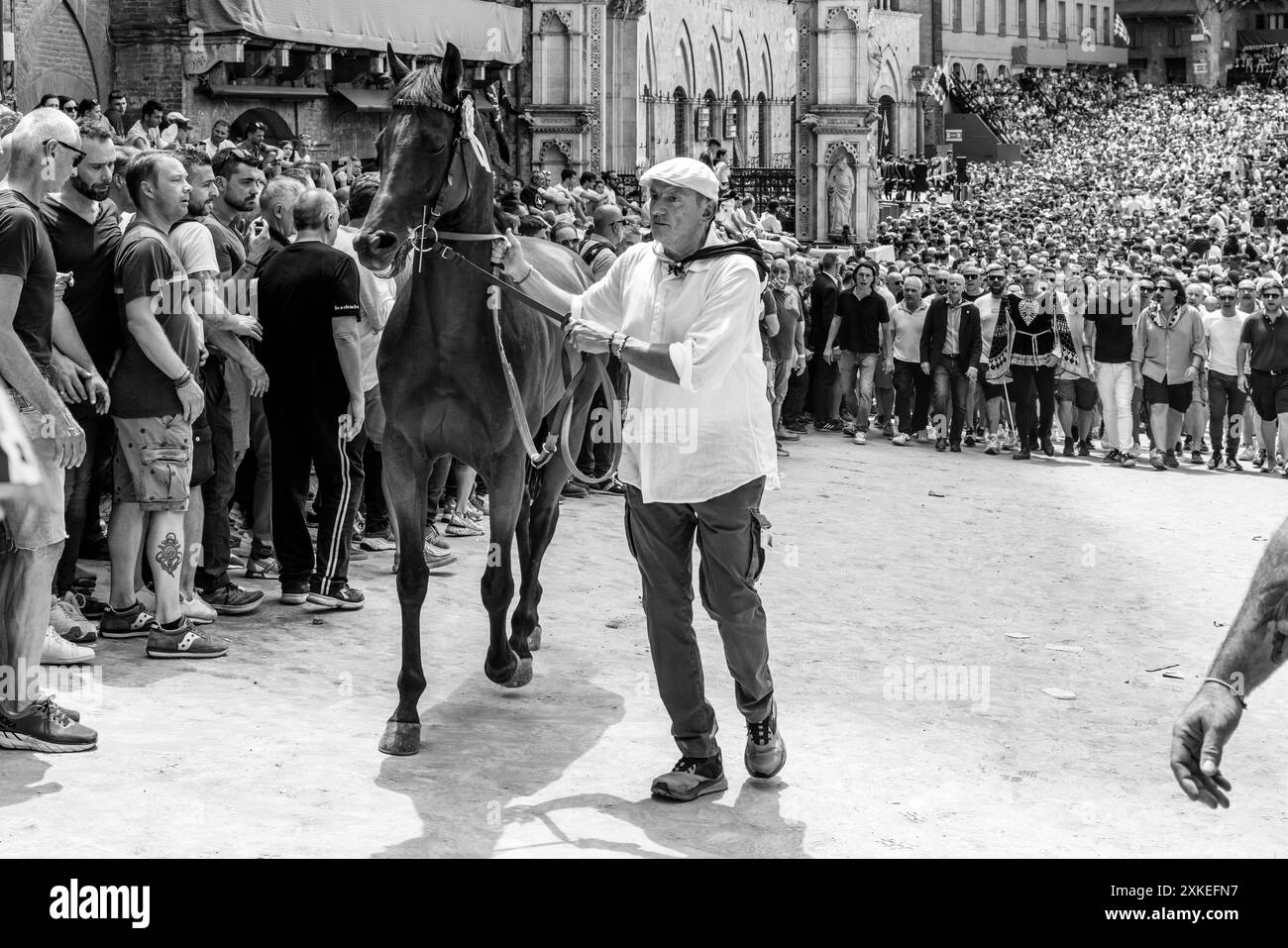 Le Lupa (She-Wolf) Contrada sortir de la Piazza Del Campo avec leur cheval assigné après l'assignation de la cérémonie des chevaux, le Palio, Sienne, Italie. Banque D'Images