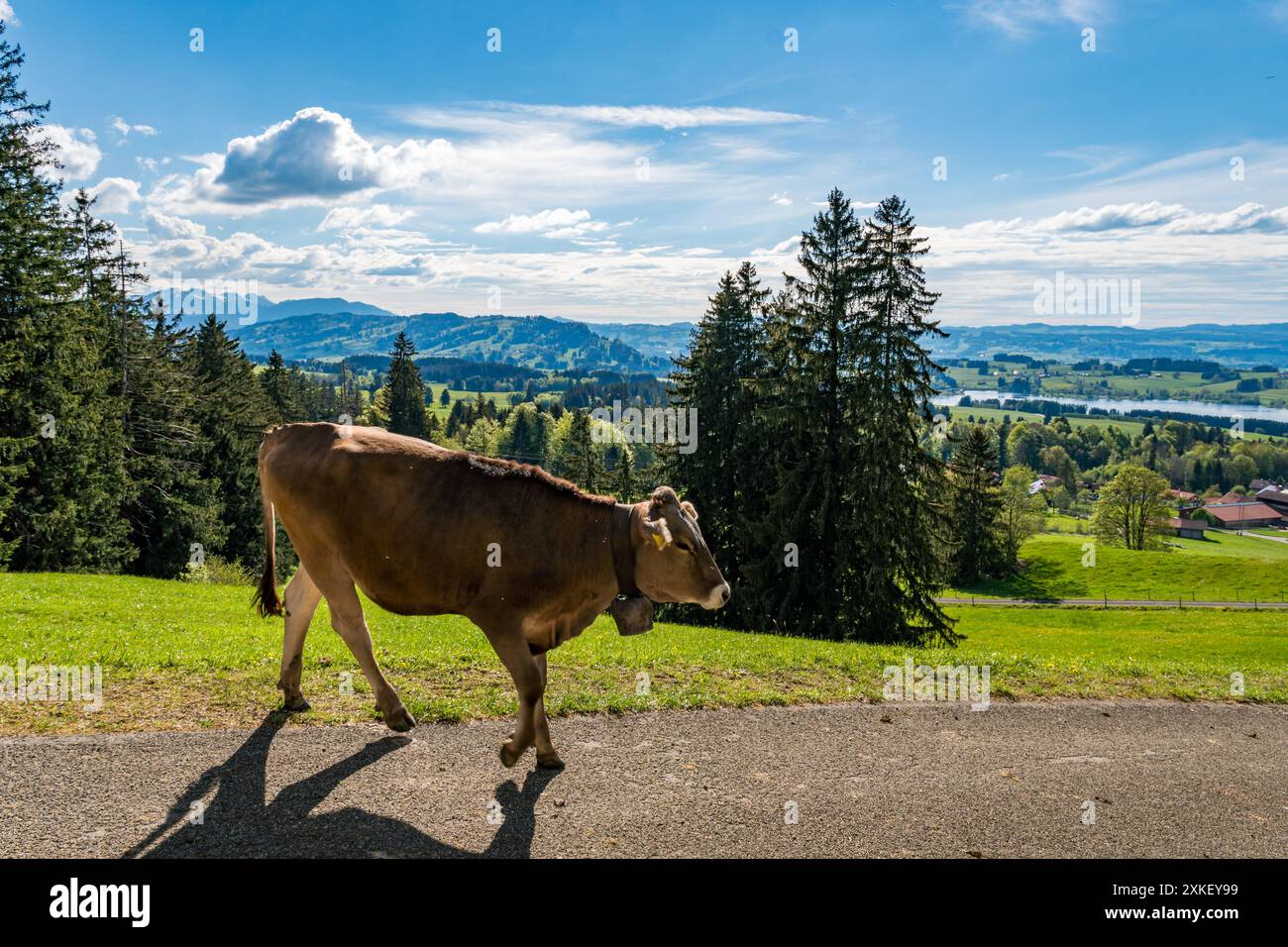 Belle randonnée le long du lac Rottachsee avec sentier ravin jusqu'aux ruines de Burgkranzegg dans la région d'Allgau Banque D'Images