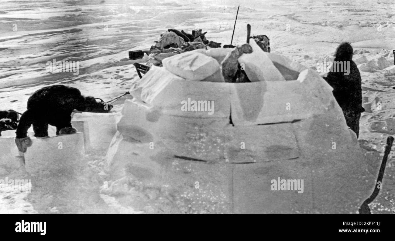 Baie d'Hudson, Canada c. 1930 Joe Apatok, esquimau de la rivière Coppermine, construit sa nouvelle maison au début de l'hiver près de Churchill. L'igloo mesure 12 pieds de diamètre et est entièrement construit de blocs de glace et recouvert de neige. Il abrite Joe, sa femme, deux enfants et six chiens de traîneau. Banque D'Images