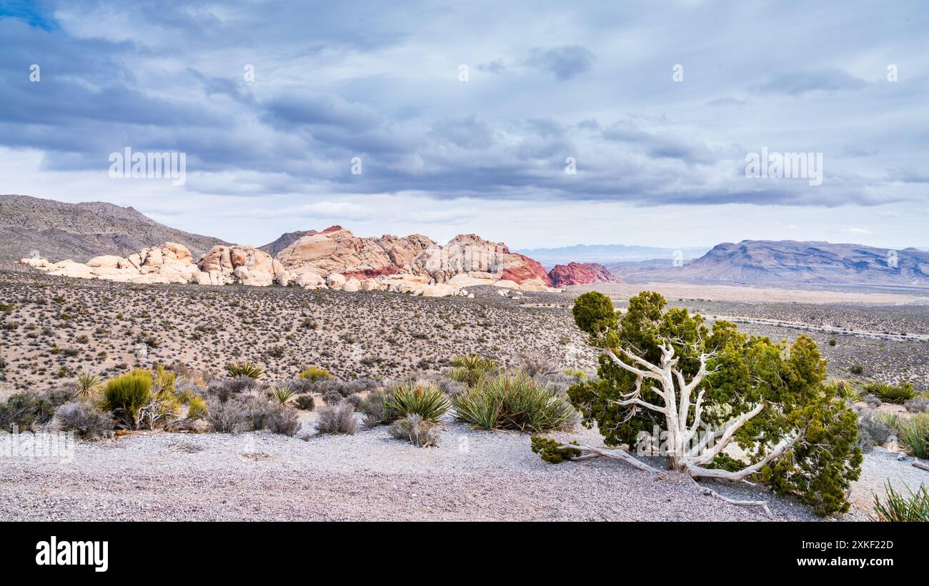 Vue sur le désert et les montagnes près de Red Rock Canyon à Las Vegas, Nevada Banque D'Images