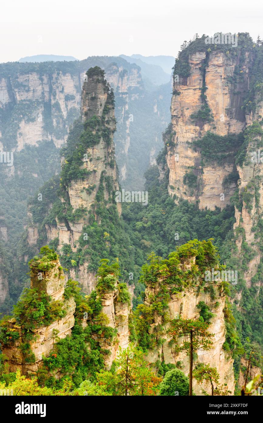 Piliers de grès de quartz (Avatar Mountains) Banque D'Images