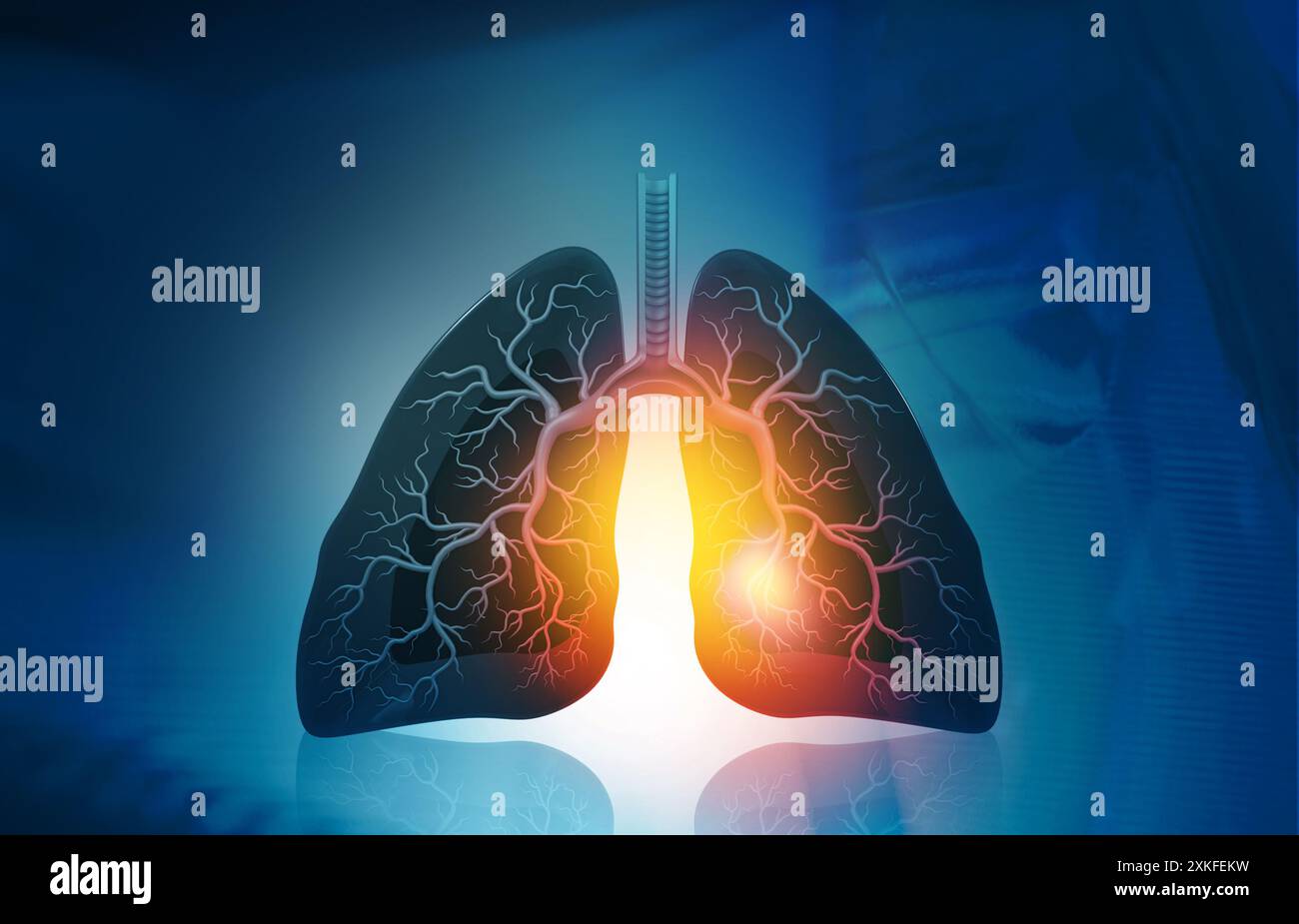 Anatomie des poumons humains sur fond bleu. rendu 3d. Banque D'Images