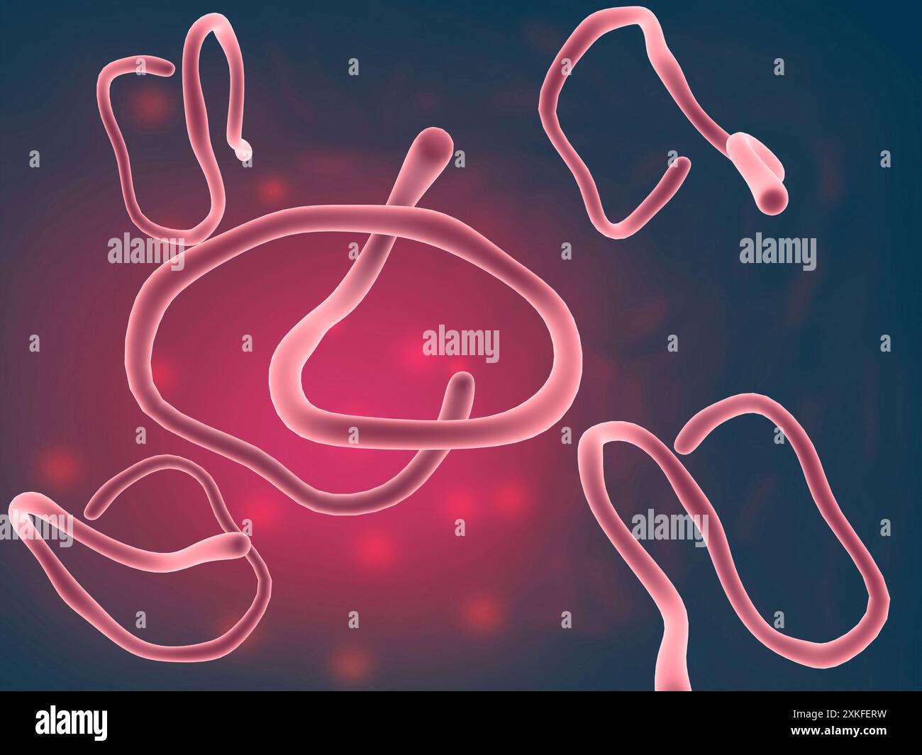 le virus ebola sur fond scientifique. illustration 3d. Banque D'Images