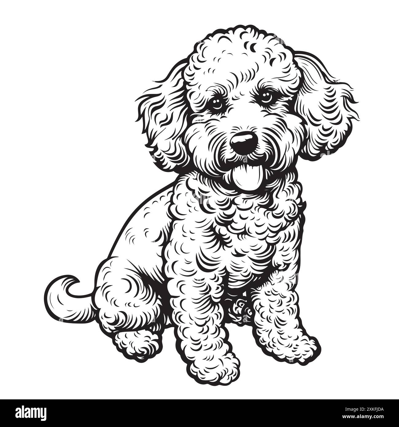 Mignon jouet chien caniche portrait dessin à la main animaux de compagnie illustration vectorielle. Illustration de Vecteur