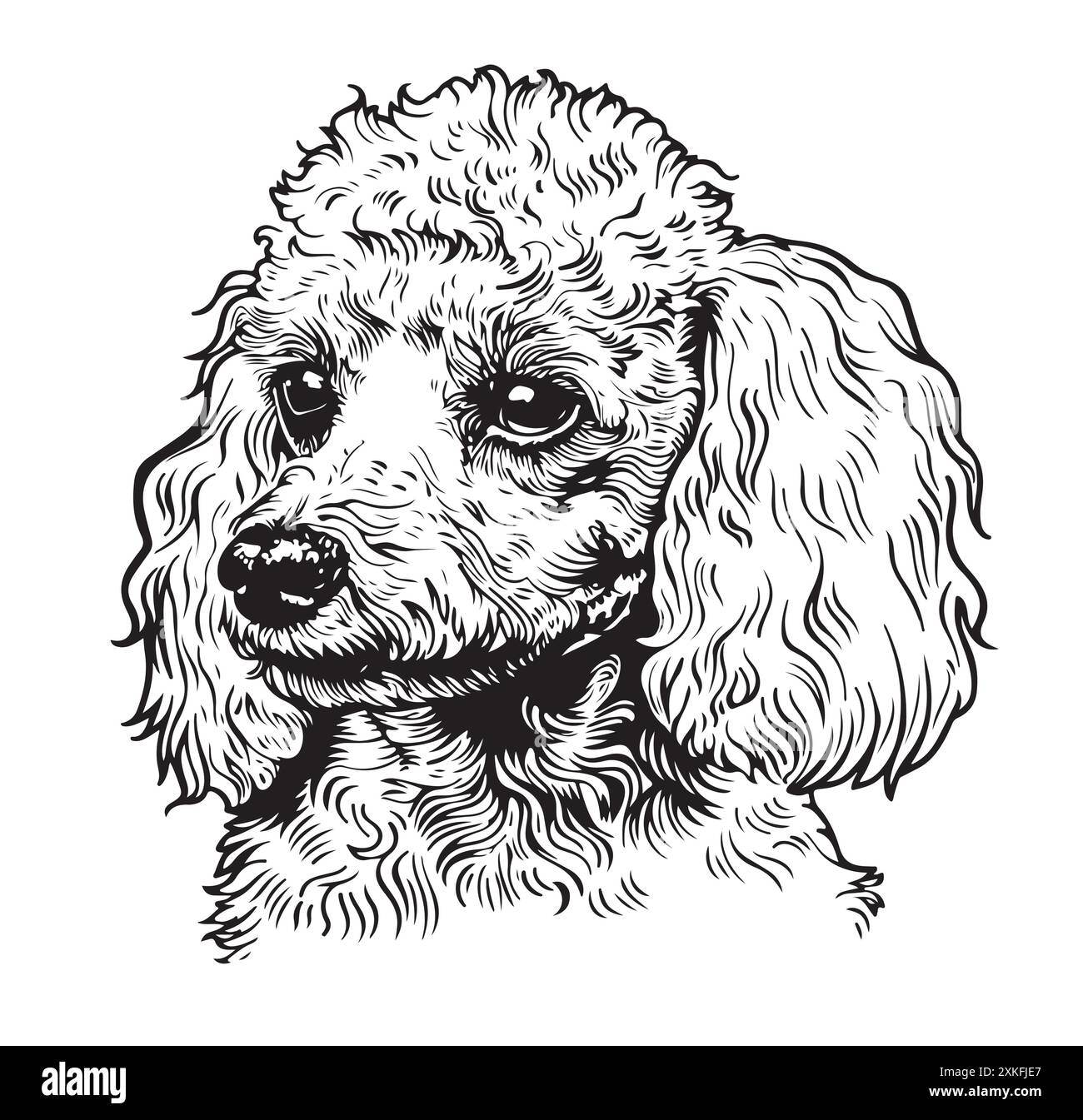 Mignon jouet chien caniche portrait dessin à la main animaux de compagnie illustration vectorielle. Illustration de Vecteur