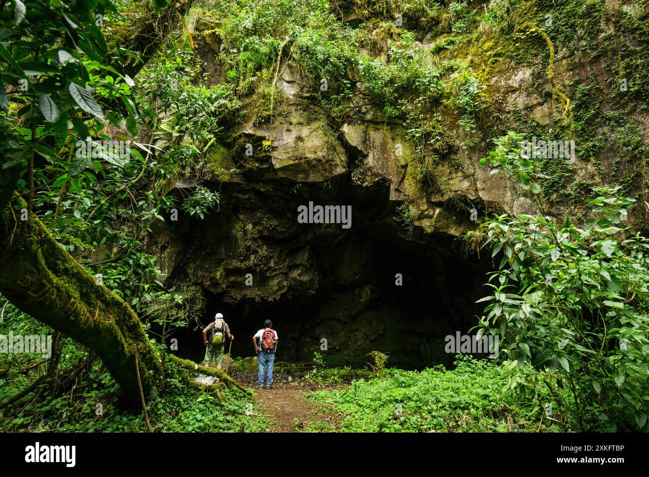 Randonneurs devant une grotte rituelle maya, forêt de nuages sur les pentes du volcan Tolimán, lac Atitlán, Guatemala, Amérique centrale. Banque D'Images